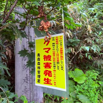 被害に遭われた方もいるので気をつけて👍