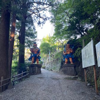 よくみるやつ