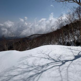 花見ケ原から伸びる尾根ですかね。