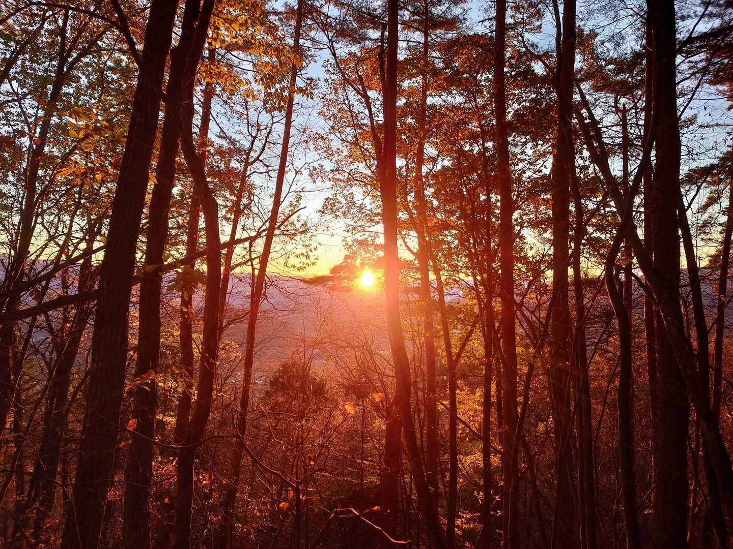 登山口ちょっと先で
天使👼のくれた時間💫