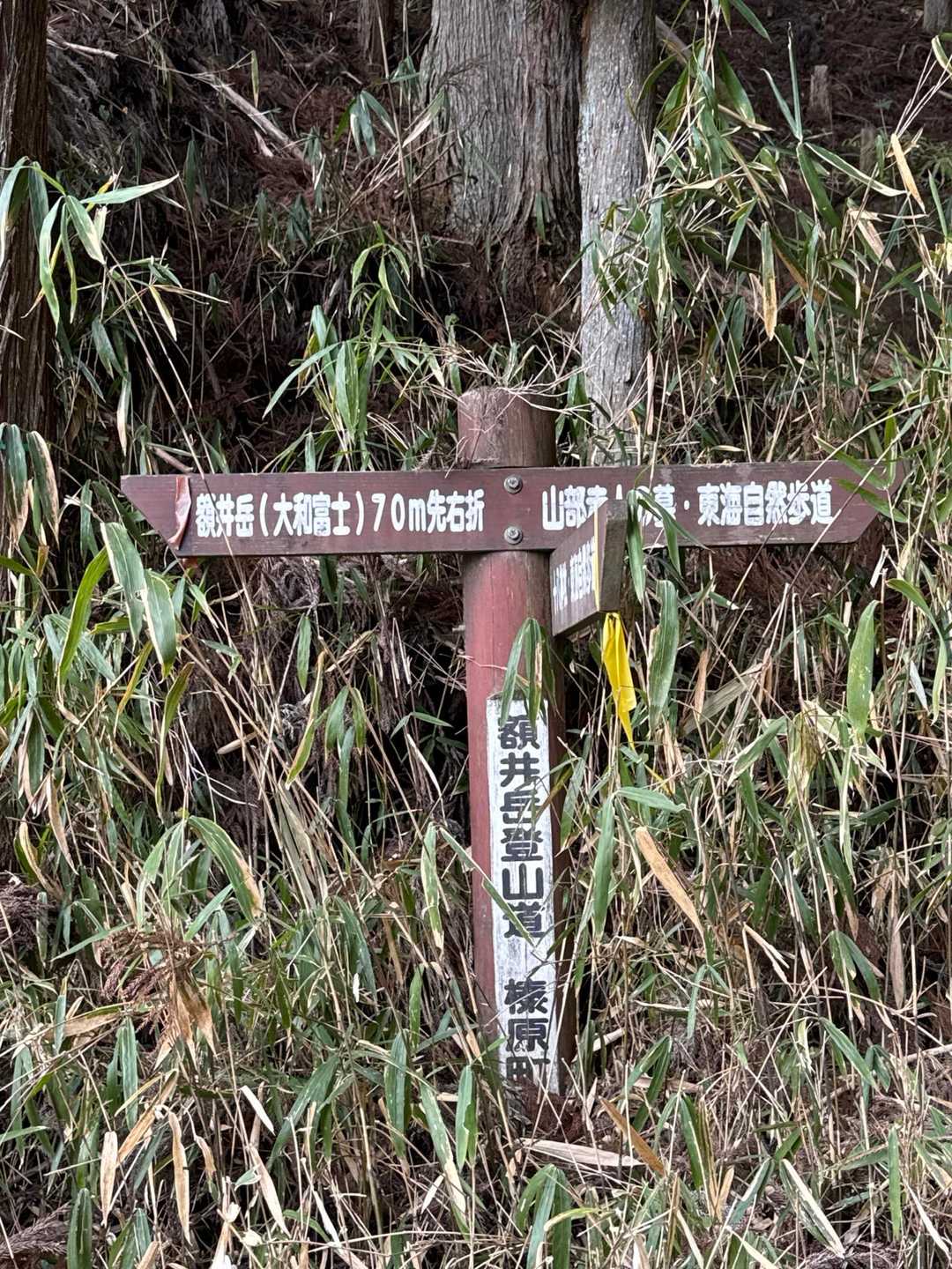 額井岳＝大和富士⛰️