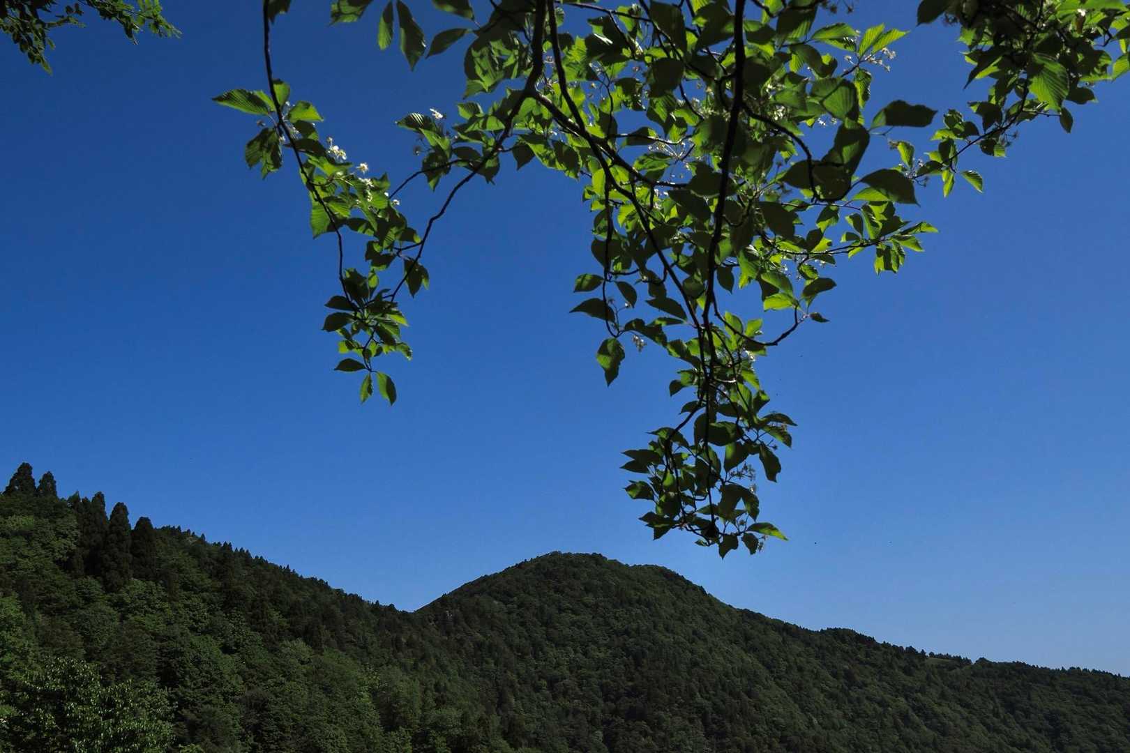 狭い尾根道から百里ヶ岳