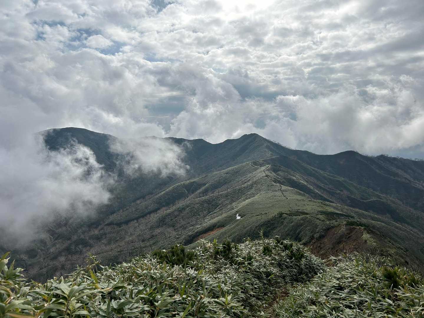 稜線ラインは優しい美しさ
モクモク雲もいいな〜