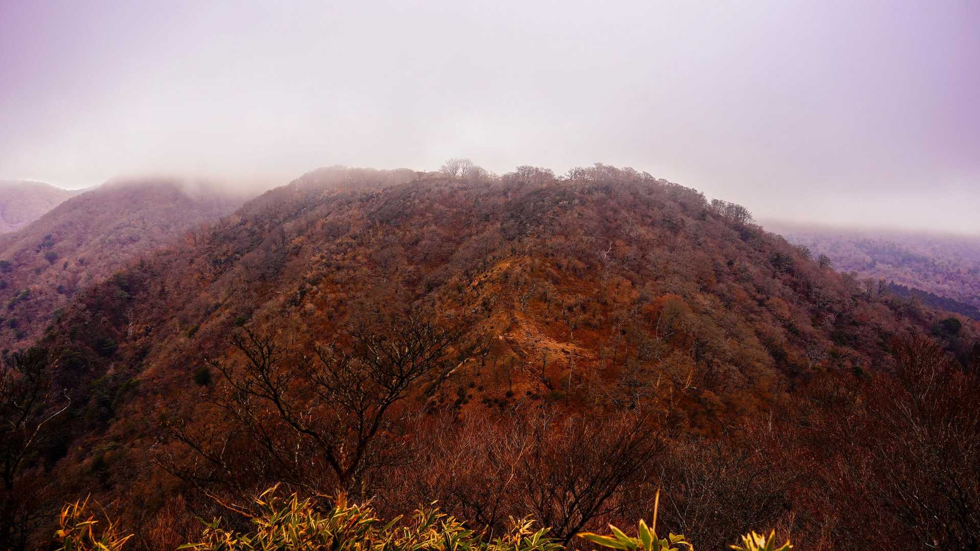 鈍よりしてる☁
向かいの山が見えた！