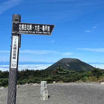 風なし🎶まだ人も少なし。