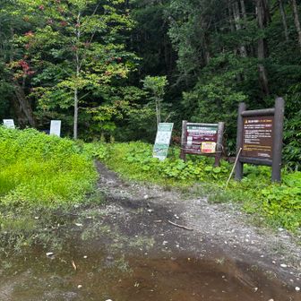 モーレツ急いで降りたので降りは写真がありません…
上高地焼岳登山口！
ここから小梨平が遠かった…