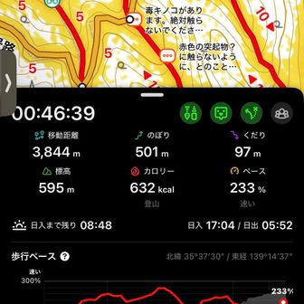 46分台！
早歩きの限界は多分43分？