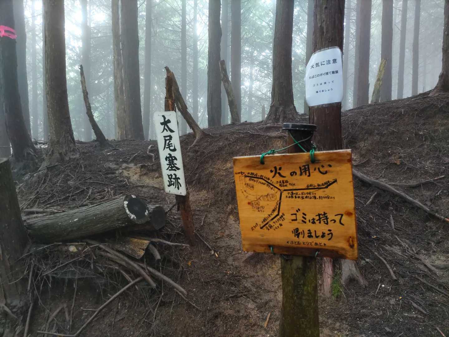 分岐は案内板通りに