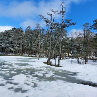 茶水池

茶臼山より麦草ヒュッテルートで、麦草ヒュッテ手前にある池