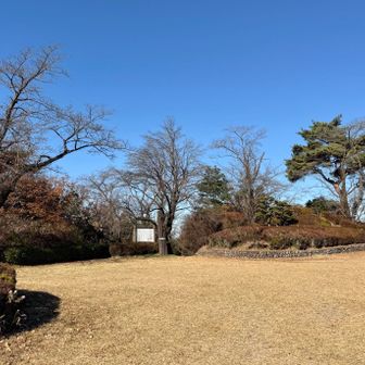 たぶん物見山の頂。
広いわりにベンチが少ない。座りたいけど近いな…気マズいよ。じゃあ見晴らしはどうだろうか。