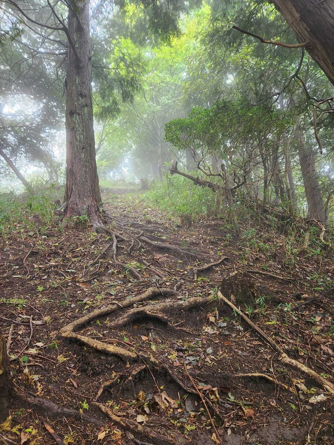 山形仙 往復コースの写真