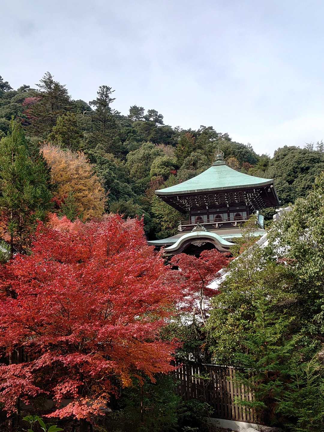 弥山 周回コースの写真
