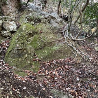 無惨に打ち砕かれまだまだ激下り( *^艸^)ﾌﾟﾌﾟﾌﾟ登山口の場所おかしくね？
登山口まで急登やんね(●︎ﾉ∀︎`)ﾟo｡ｱﾋｬｬ