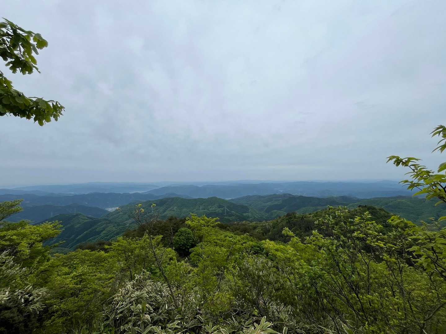 星山８合目
ようやく眺望が✨
今日は曇ってるし風あるから涼しいし登りやすいですね😊