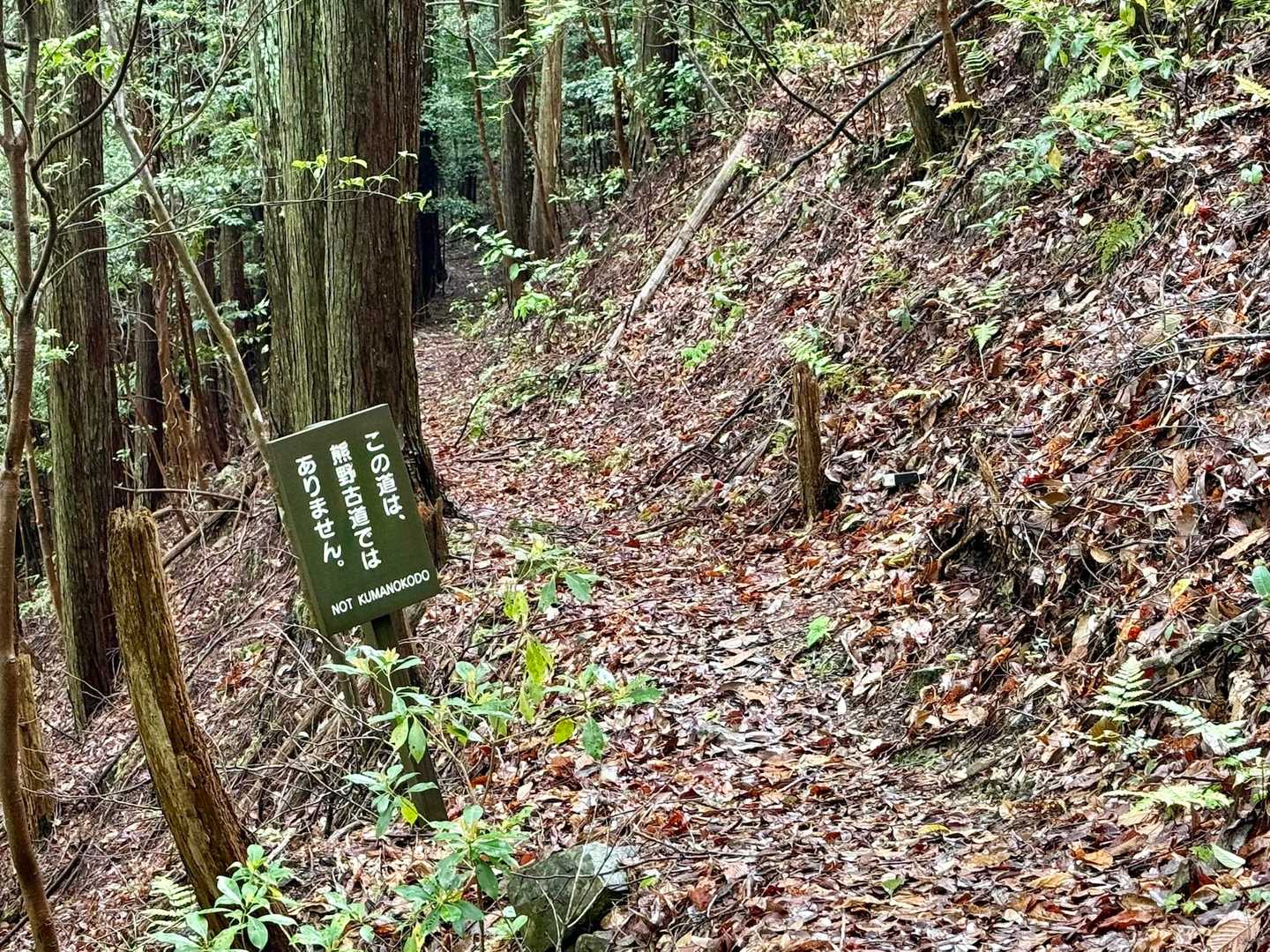 道を間違えそうな所に立て看板がありました。