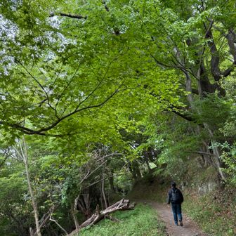 今日もいい山行だった