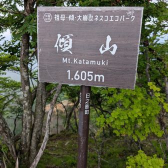この私でも登れたぁ〜🙌