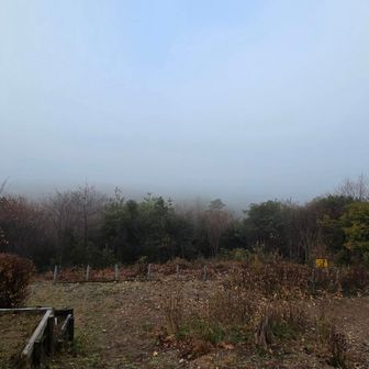 大岩山から
朝靄で見えない…