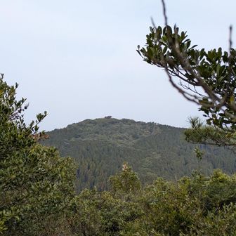 これから行く八郎岳が…🤩