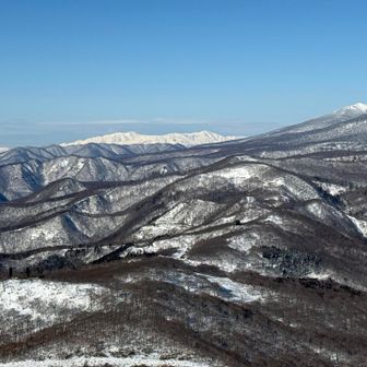 飯豊の白さが際立ってる