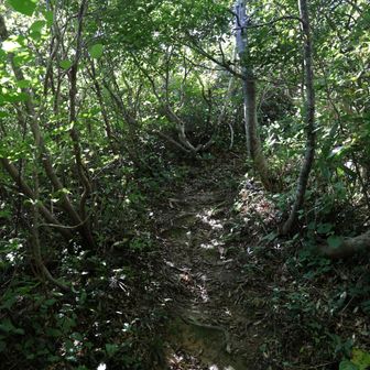 いよいよ火燈山への最後の登りとなります。