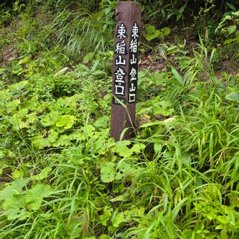 まず一座め
