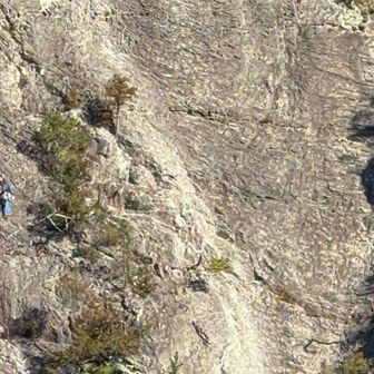 ひぇー
登ってらっしゃる！