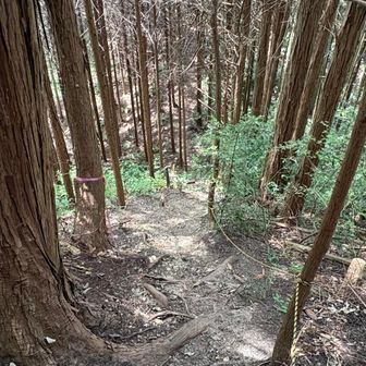 急坂を降りて