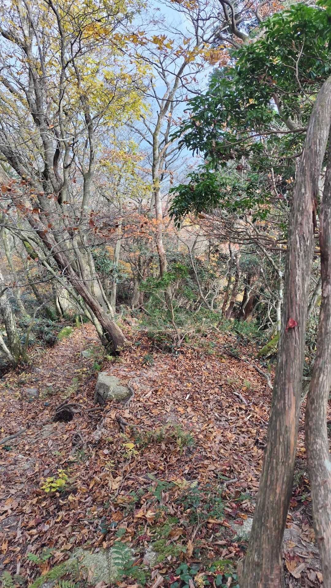 北山-釈迦ヶ岳 往復コースの写真