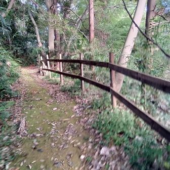 トラバースの散策路