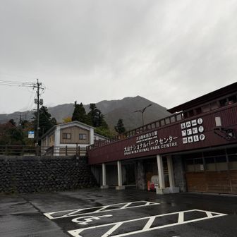 雨だけど山頂見えてる