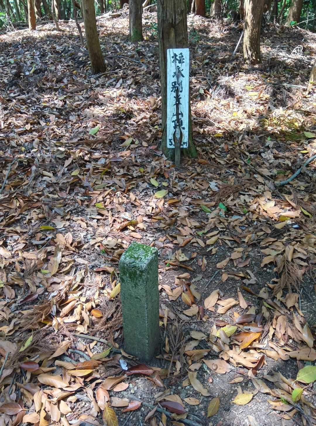 先ず別当山を通過
手前の場所で倒木になりそうな傾いた木を数本切っておいた🗽