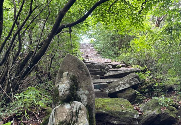 多良岳（佐賀・983m）| 登山ルート・天気 | YAMAP / ヤマップ