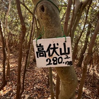 戻る時にうろうろ　踏み跡が見つかりホッとする