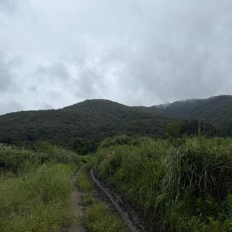 蚊に追われながらも無事に下山🥾