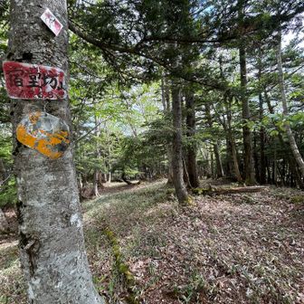 宿堂坊山⛰️
黒檜岳から繋がったね👍