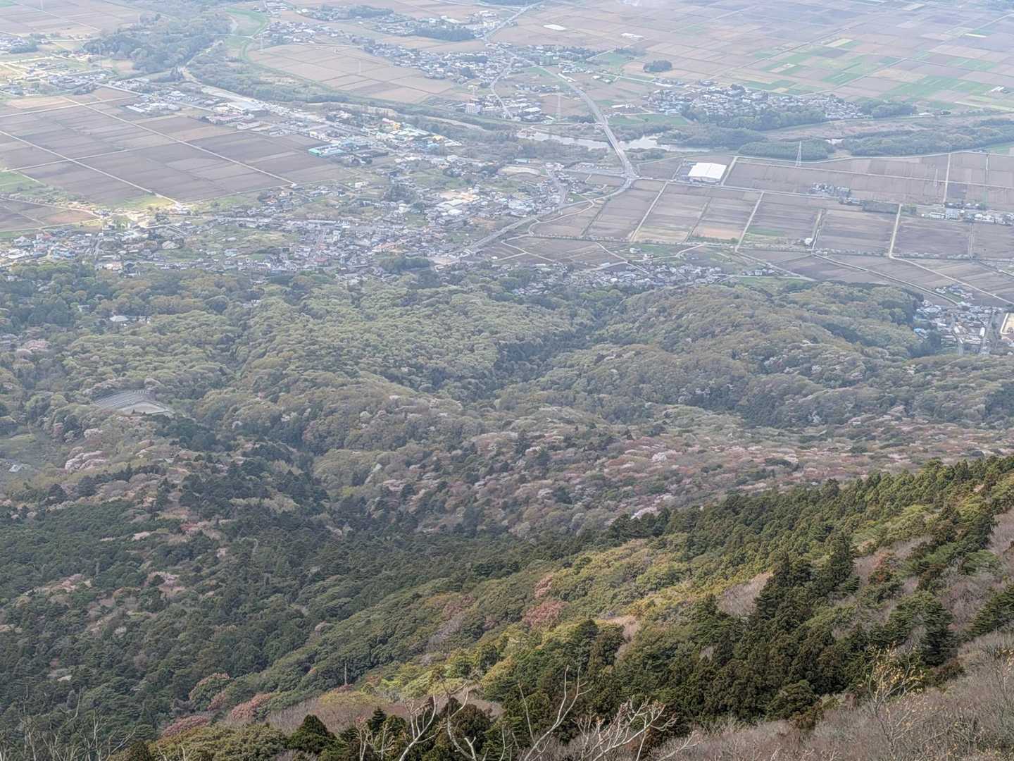 やっぱり麓の山桜に目がいっちゃう👀