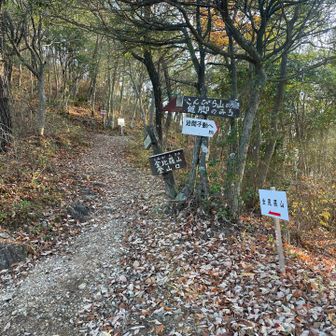 疲れてるので舗装路の方へ