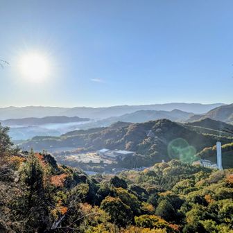 うわー！！雲海です😍😍😍