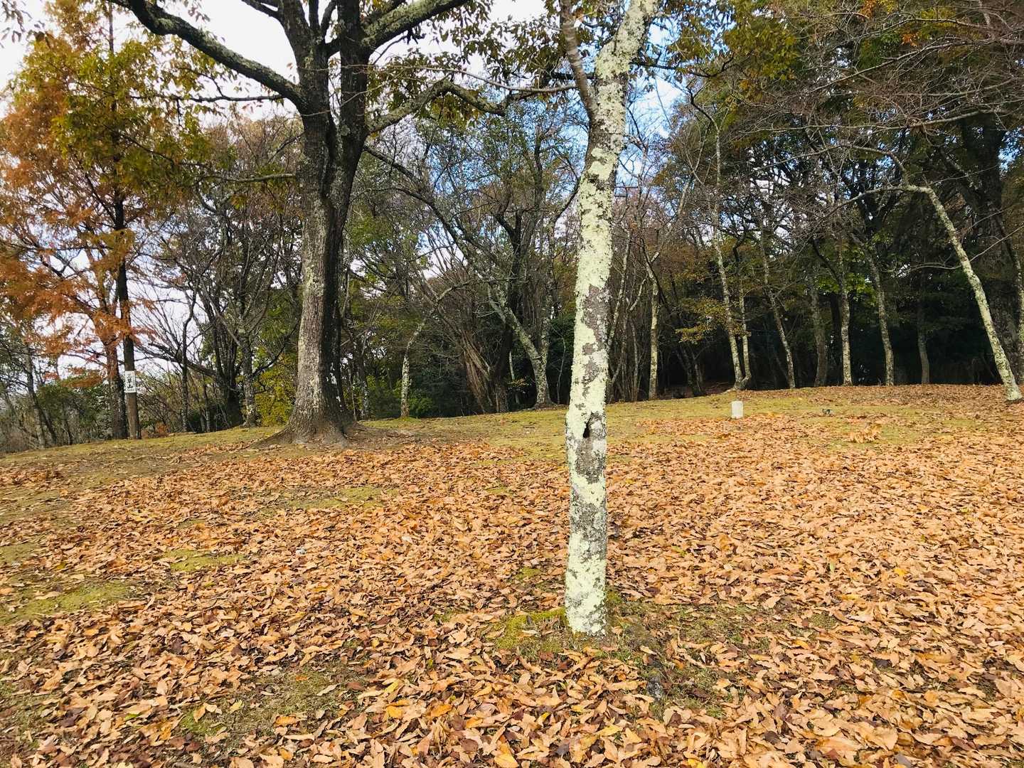 広く山飯でゆっくりするには良いところです(^^)