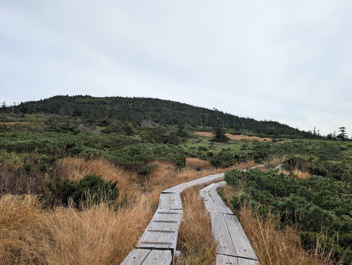森🌲の方面が西吾妻山。