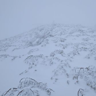負けそうになった
－２５℃の世界が笑ーう。