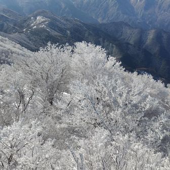 薄っすら石鎚山