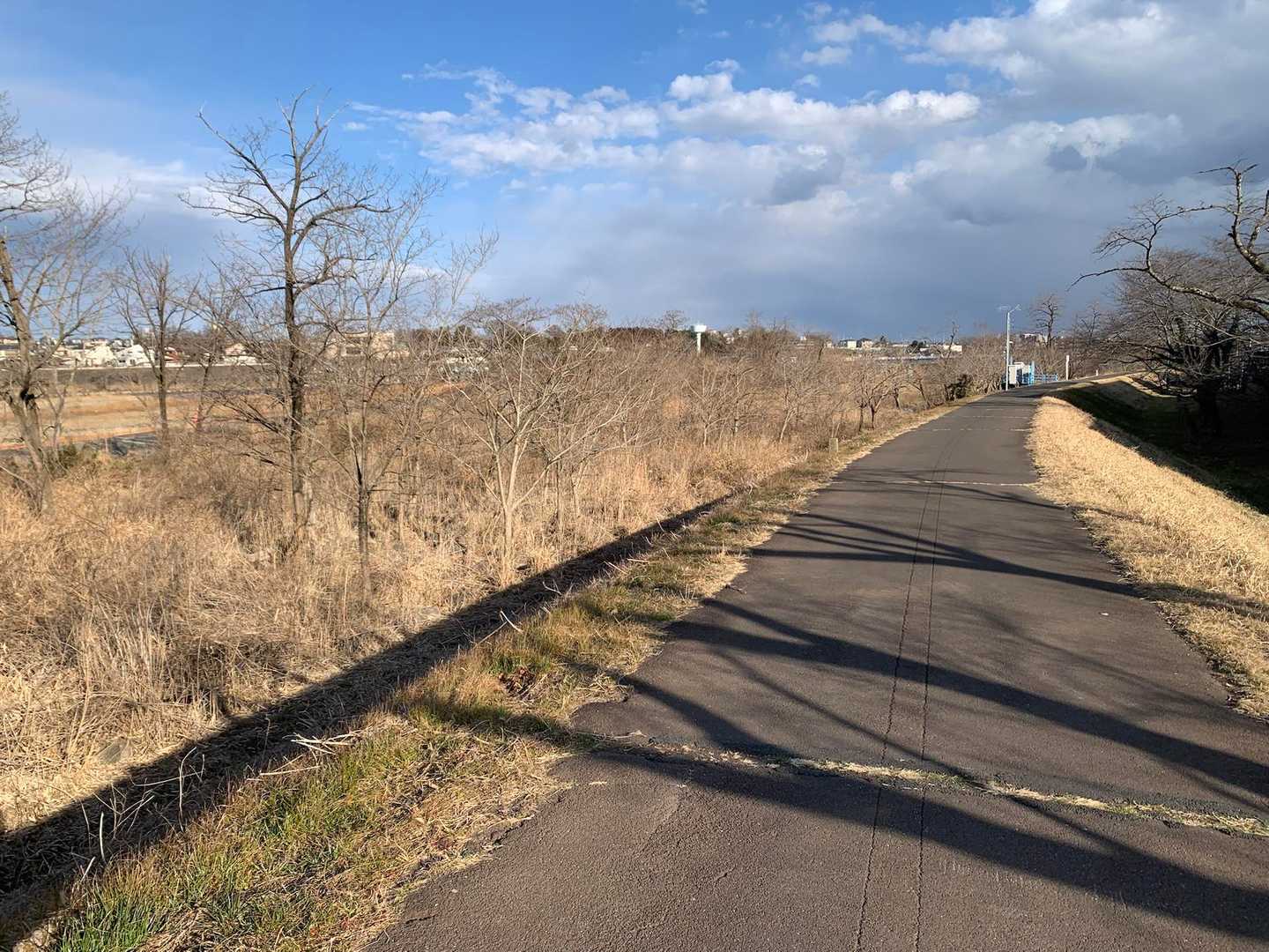 川沿いの遊歩道を歩いて駅に向かう^_^