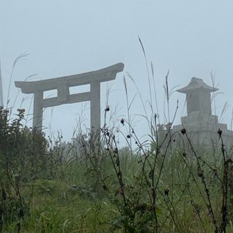 やっと着いた〜
