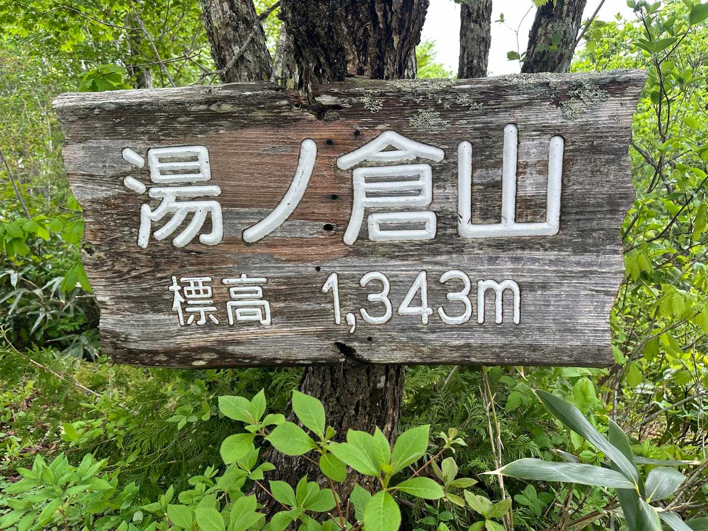 じゃーん、着きました！