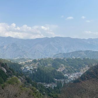 本堂、五重塔が見えてますね！