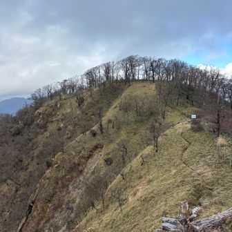 良き😘
ザ・丹沢的風景🌱