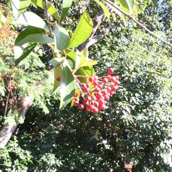 日差しが明るく暖かくなってきました♪ココでお昼ご飯