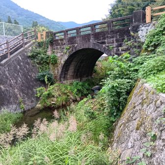 綺麗なアーチです